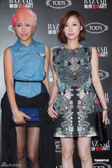 组图：刘嘉玲暂无宝贝计划 称华仔与小龙女有缘