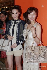 组图：汪诗诗出席新店开幕礼 力挺甄子丹认真专业