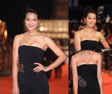 组图：金钟奖红毯女星爆乳裸背抢镜秀性感