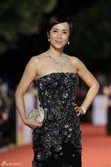 组图：电影金马奖红毯群星云集 女星性感华服斗艳