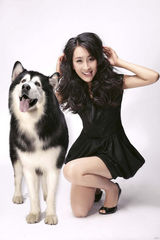 高清图：马苏携爱犬拍冬日写真 上演真实版美女野兽