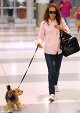 组图：波特曼牵可爱宠物狗现身机场