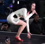 组图：凯蒂-佩里穿选票裙献唱为奥巴马拉票