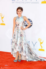 组图：艾美奖红毯 《摩登家族》俏妞阿芮尔扎染裙