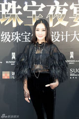 组图：黄奕斑马纹抹胸裙亮相晚宴 笑对不和风波