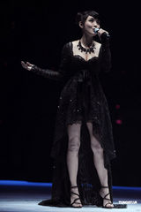 组图：张信哲助阵黄伟文作品展 郑伊健留须造型亮相