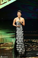 组图：金马李康生章子怡获帝后 《宗师》赢5奖