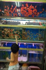 组图：微镜头下的小小志 呆萌可爱完胜童颜老爸