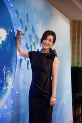 组图：秦海璐压轴慈善晚宴红毯 泪洒晚会现场