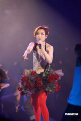 幻灯：郑秀文许志安相拥献唱 梁洛施李嘉欣捧场