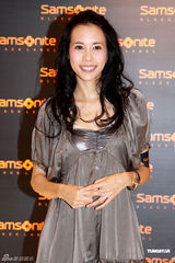 组图：莫文蔚低胸裙装出席活动 银色高跟鞋性感