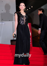 组图：章子怡张东健盛装走红毯 张柏芝粉裙美艳