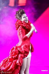 组图：甄妮演唱会重温经典 宝刀未老征服万名听众