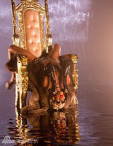 组图：蕾哈娜穿比基尼拍MV 开腿自摸身姿诱惑