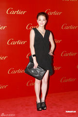 高清组图：刘嘉玲阮经天张智霖出席名店开幕派对