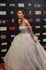 组图：红星大奖落幕吴尊寻婿 李铭顺嫉妒范文芳