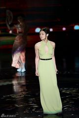 组图：金马李康生章子怡获帝后 《宗师》赢5奖