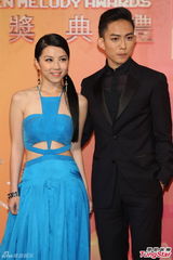 群星亮相金曲奖红毯 蔡依林美腿梁静茹性感(图)