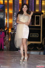 组图：TVB2014巡礼全员出动 女星竞艳旧爱相逢