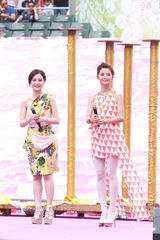 组图：众星助阵庆祝香港回归十五年汇演