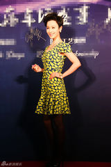 组图：石小群霍政谚刘冠翔盛装等出席活动