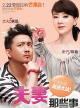 组图：黄磊陈数《夫妻那些事》海报曝光