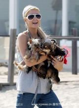 幻灯图集：帕丽斯-希尔顿与宠物狗形影不离