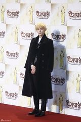 独家高清：李敏镐等亮相2013SBS演技大赏红毯