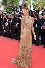 高清组图：超模芭芭拉-帕尔文露背礼服亮相戛纳