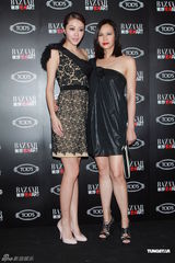 组图：刘嘉玲暂无宝贝计划 称华仔与小龙女有缘