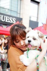 组图：主持悦悦为小狗路路寻家 领养代替买卖