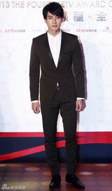 组图：吴奇隆钟汉良等众星助阵乐视盛典红毯