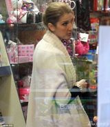 组图:席琳-迪翁独自为圣诞采购 皮肤松弛显苍老