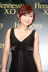 幻灯图：陈乔恩出席活动 香槟礼服雍容华贵 