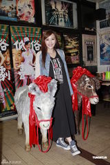 组图：杜汶泽田蕊妮等亮相《低俗喜剧》庆功宴