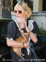 幻灯图集：帕丽斯-希尔顿与宠物狗形影不离