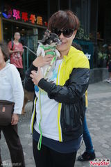 组图：林忆莲出席狗狗同乐日 陈嘉桓呼吁领养