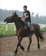 高清组图：邵兵廖凡张默加盟《让子弹飞》 姜文打造兄弟连