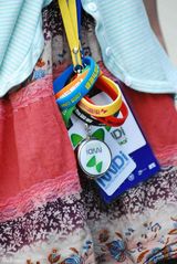 组图：N个摄影师眼中的迷笛