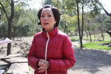 高清图：《欢喜婆婆俏媳妇》热拍 胡杏儿称不嫁豪门