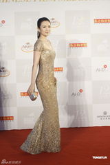 组图：章子怡金色人鱼装现身红毯 心情大好懒理传闻