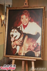 组图：梅艳芳珍贵纪念品展出 歌迷会未邀请梅妈