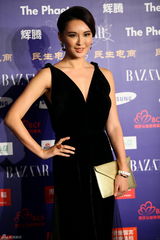 组图：莫小棋薄纱黑裙走红毯 低胸高叉露长腿