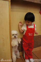 六一明星宝宝之你猜你猜你猜猜之一