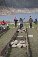 组图：《爸爸》老爸变装逗萌娃 小猪赛跑趣味多