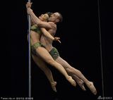 组图：阿根廷钢管舞比赛 大尺度高难度令人瞠目