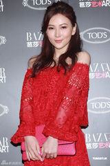 组图：刘嘉玲暂无宝贝计划 称华仔与小龙女有缘