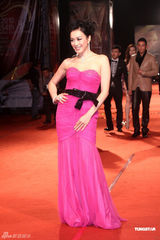 组图：亚太影展女星比美 侯佩岑温碧霞红毯争艳