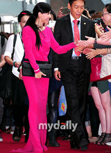 组图：章子怡张东健盛装走红毯 张柏芝粉裙美艳