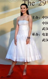 组图：金鸡百花闭幕红毯 俊男美女群星闪耀